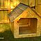 Xxl-and-small-dog-houses-and-whelping-boxes