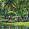 Visit-kerala-backwater-tour-to-energise-a-vacation