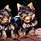 Cute-teacup-yorkie-puppies-for-adoption