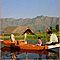 Golden-triangle-tour-with-srinagar-golden-triangle-and-srinagar-tour-packages