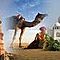 Golden-triangle-tour-with-camel-and-jeep-safari-golden-triangle-with-wildlife-tours